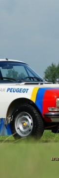 PEUGEOT Model
  504  Technické sharakteristiky
